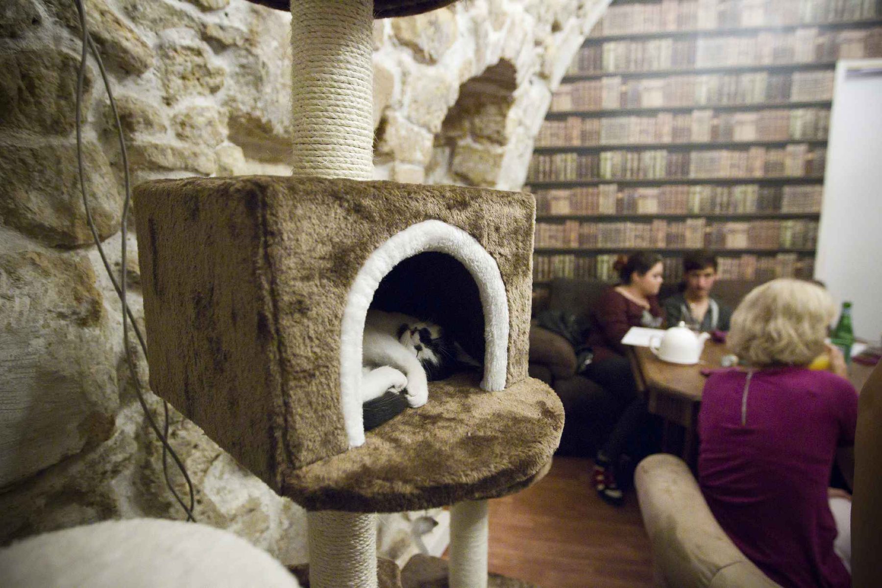 Chapristea, un « chat »lon de thé à Toulouse